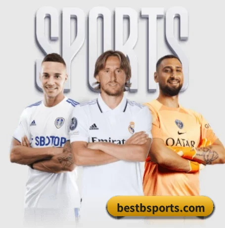 五个功能入口,赛程查询路径更短(bsport)