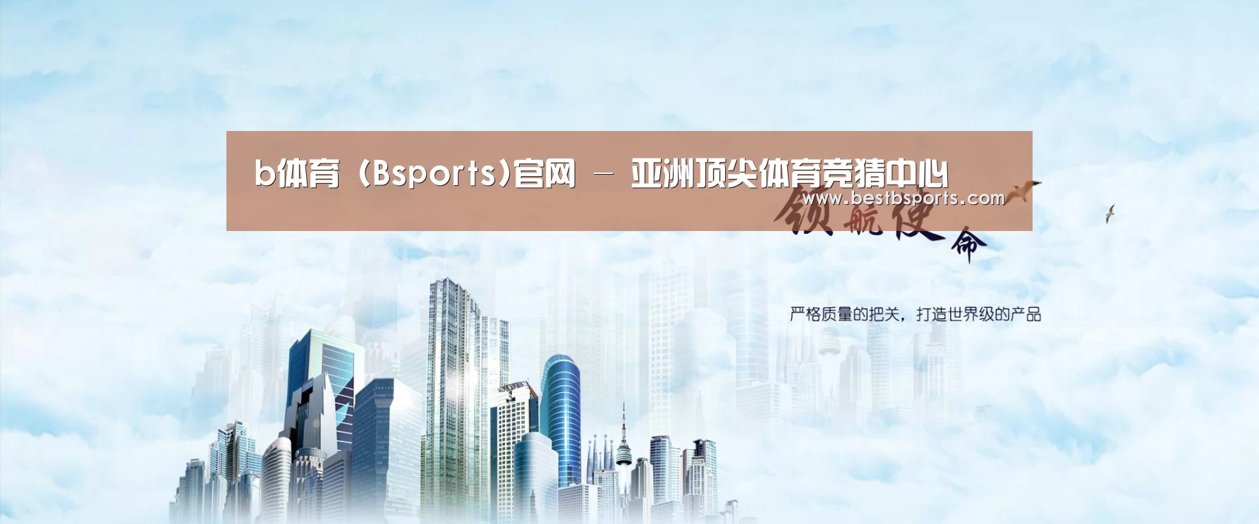 bsport公司