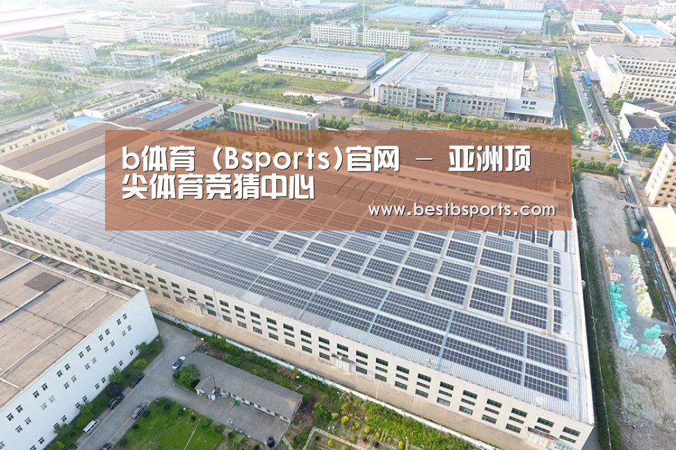 案例展示二