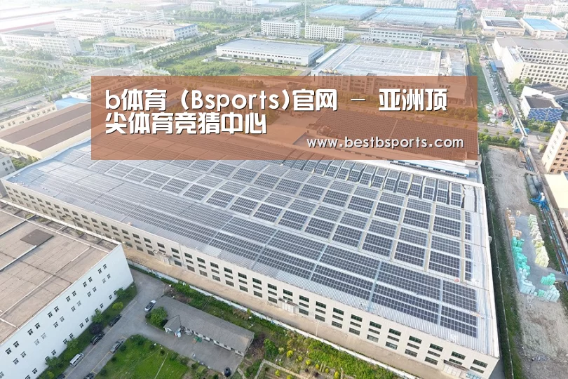 案例展示一