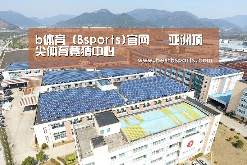 案例展示一