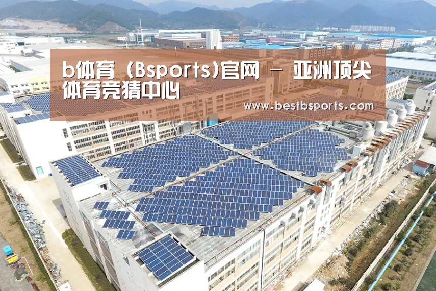案例展示四