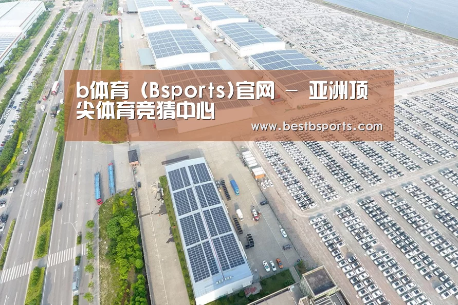 案例展示一