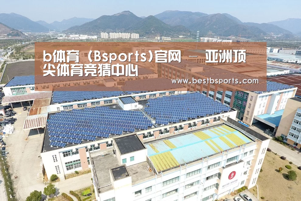 案例展示三