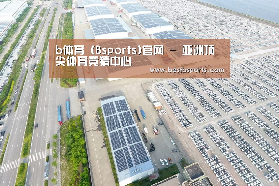 案例展示二