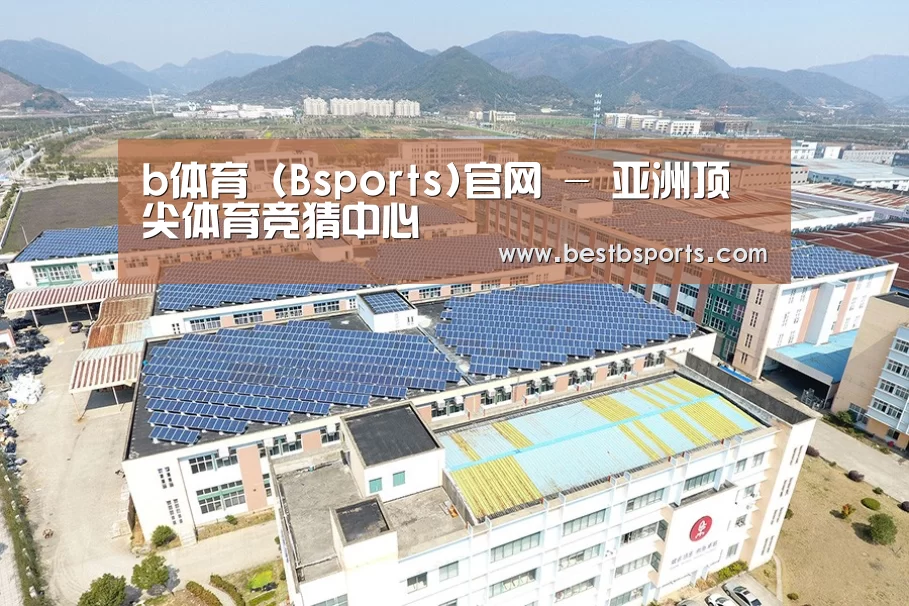 案例展示三