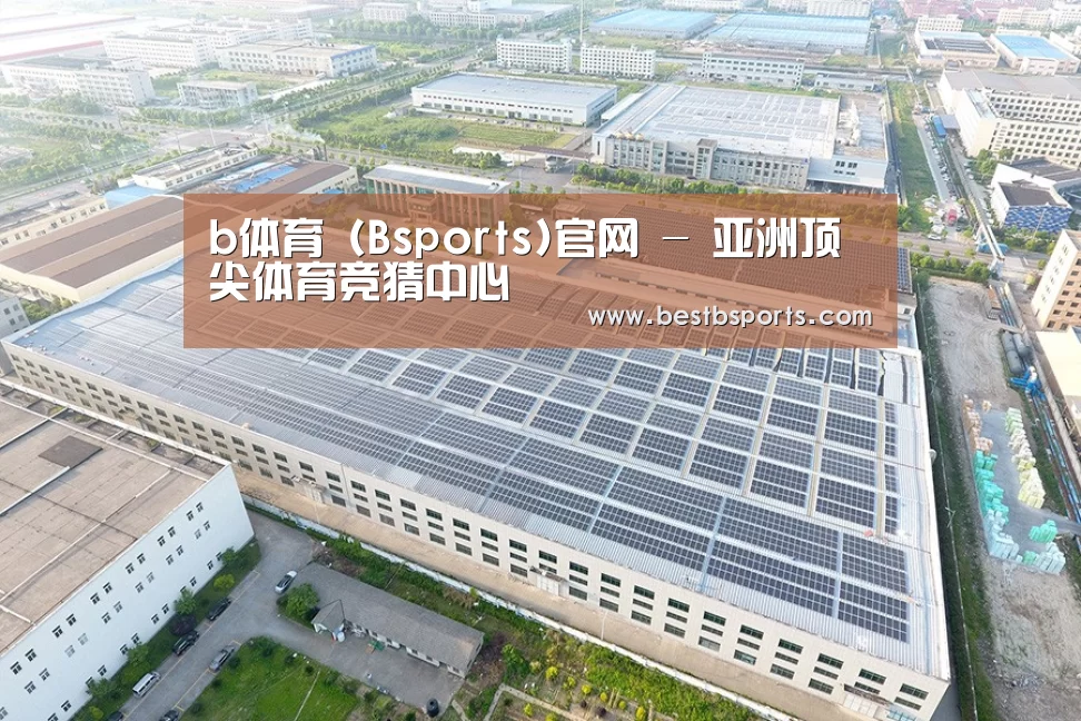 案例展示四
